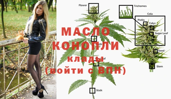стафф Елизово
