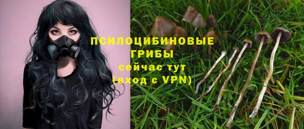 spice Дмитров