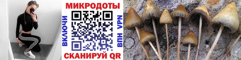 Псилоцибиновые грибы MAGIC MUSHROOMS  Купить где  Завитинск 